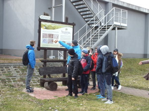 fot 1